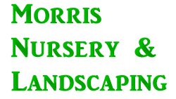 Morris Nursey and Landscaping
